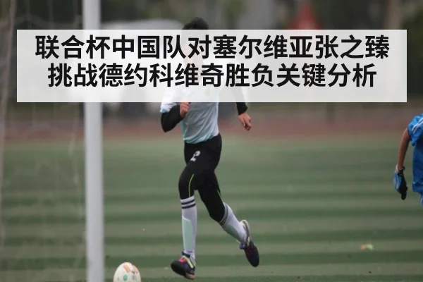 联合杯中国队对塞尔维亚张之臻挑战德约科维奇胜负关键分析 | kaiyun
